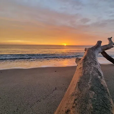 Casa Lamaghjone - T4 Avec Piscine Chauffée à 3,5km De La Aléria
