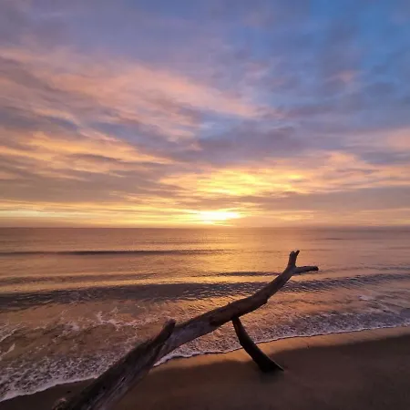 Casa Lamaghjone - T4 Avec Piscine Chauffee A 3,5km De La