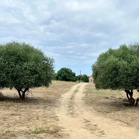 Vila Casa Lamaghjone - T4 Avec Piscine Chauffee A 3,5km De La