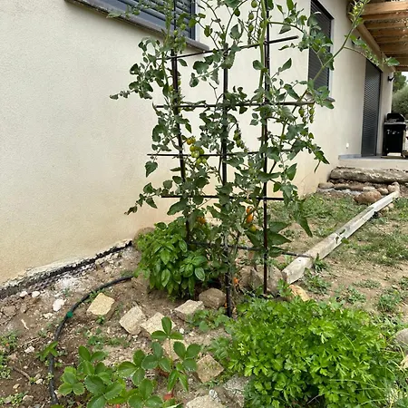 Willa Casa Lamaghjone - T4 Avec Piscine Chauffee A 3,5km De La Aléria