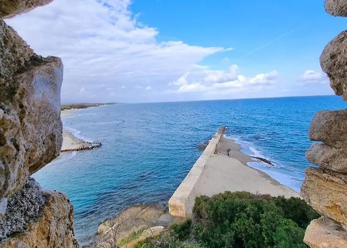 Casa Lamaghjone - T4 Avec Piscine Chauffee A 3,5km De La Villa Aléria