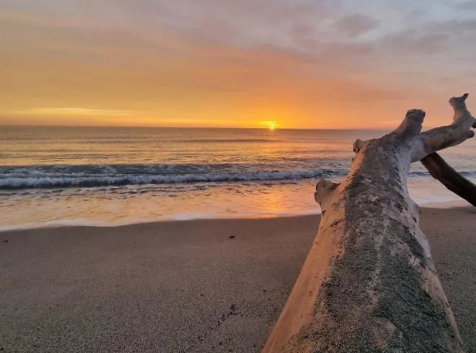 Casa Lamaghjone - T4 Avec Piscine Chauffee A 3,5km De La Aléria