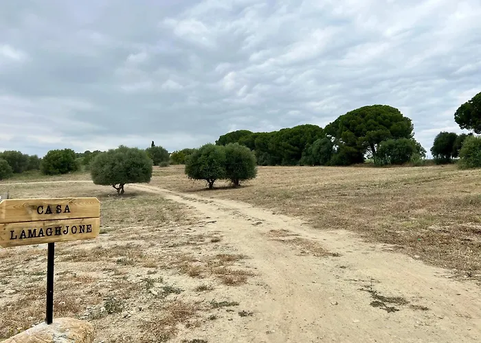 Casa Lamaghjone - T4 Avec Piscine Chauffee A 3,5km De La *
