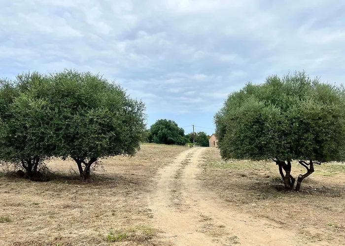 Vila Casa Lamaghjone - T4 Avec Piscine Chauffee A 3,5km De La