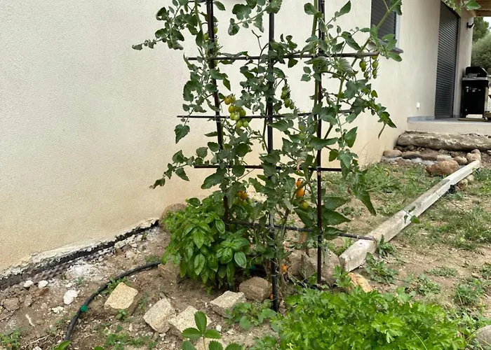 Villa Casa Lamaghjone - T4 Avec Piscine Chauffee A 3,5km De La Aléria